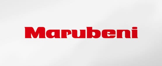 Marubeni Corporation-Shareholders