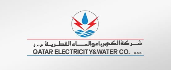 Qatar Electricity & Water Company - Shareholders